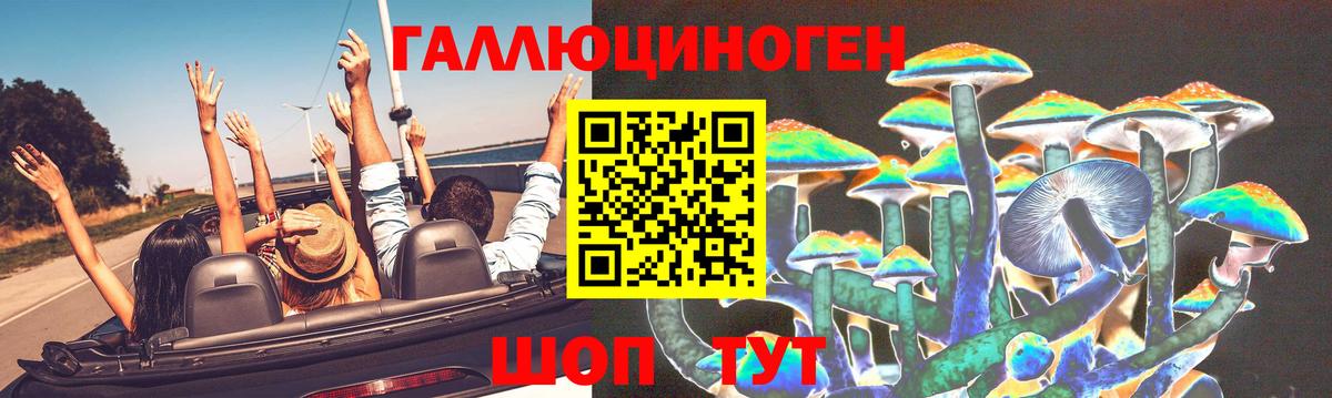 Галлюциногенные грибы Psilocybine cubensis Лениногорск